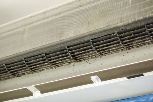 Best Residential Air Duct Cleaning  in USA